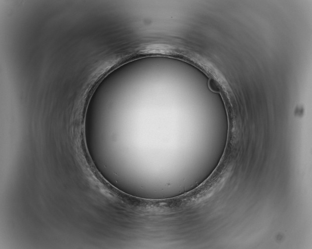 X0000103220529200808281410