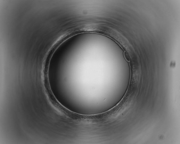 X0000103220530200808281410