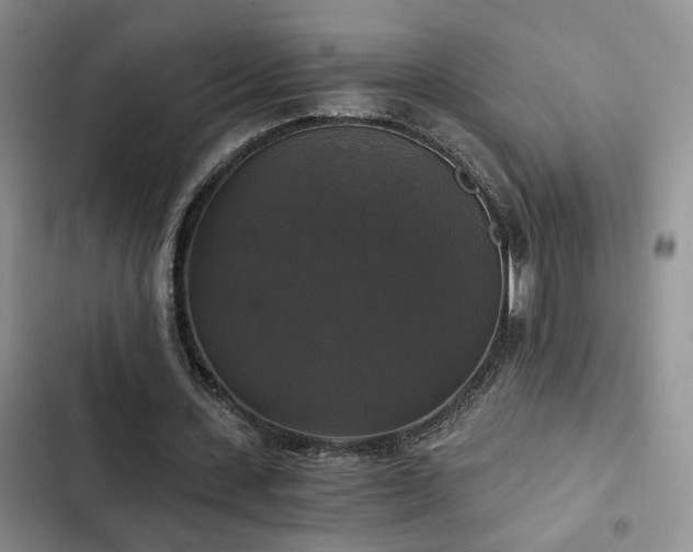 X0000103220531200808281410