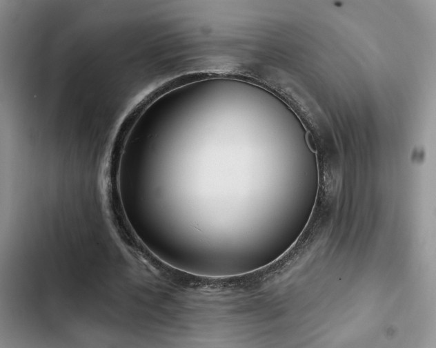 X0000103220532200808281410