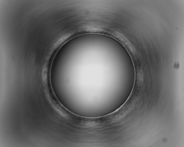 X0000103220533200808281410