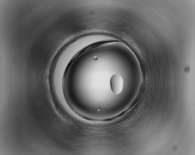 X0000103220534200808281410