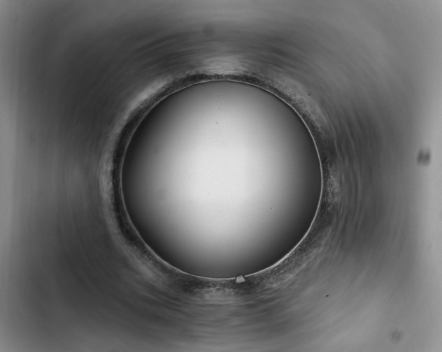X0000103220535200808281410