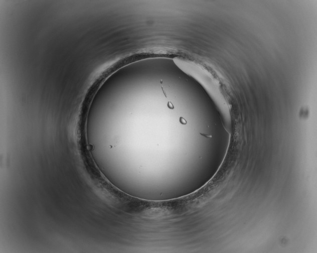 X0000103220536200808281410