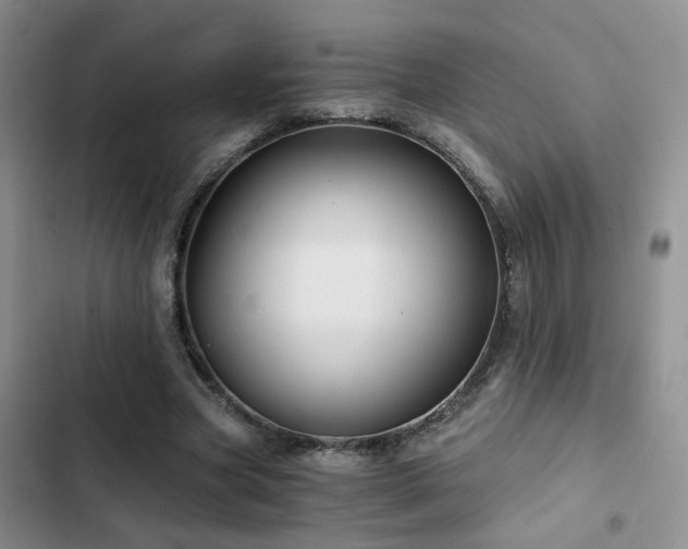 X0000103220537200808281410