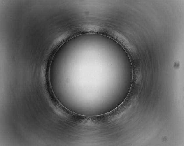X0000103220538200808281410