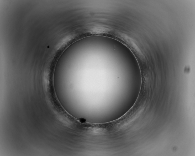 X0000103220539200808281410