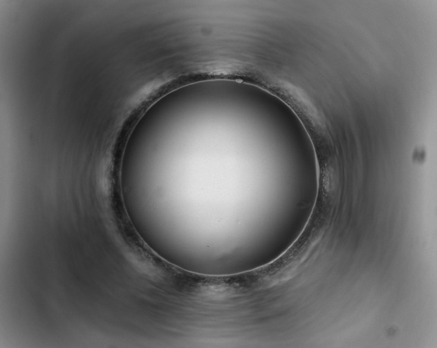 X0000103220540200808281410