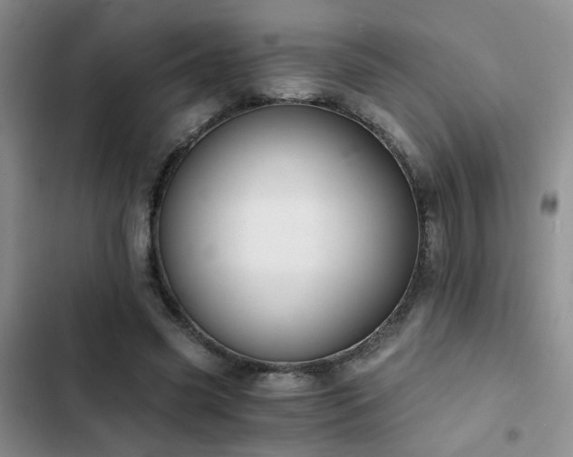 X0000103220541200808281410