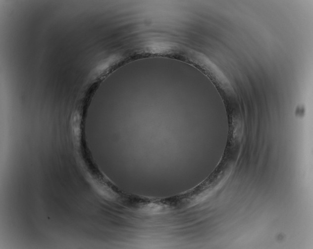 X0000103220542200808281410