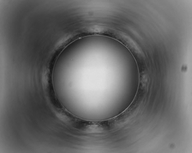 X0000103220544200808281410