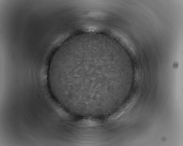 X0000103220545200808281410