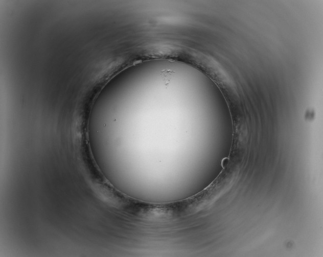 X0000103220546200808281410
