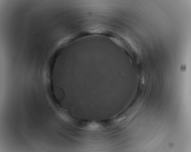 X0000103220547200808281410