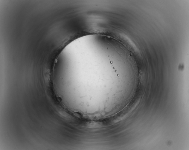 X0000103220549200808281410