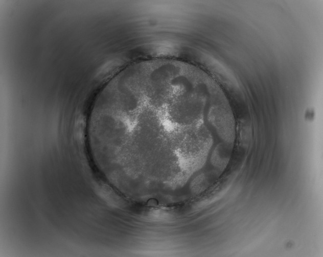X0000103220550200808281410