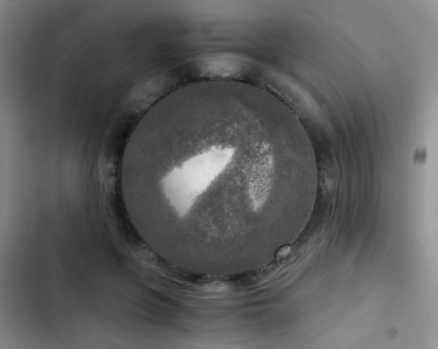 X0000103220551200808281410