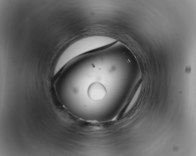 X0000103220552200808281410