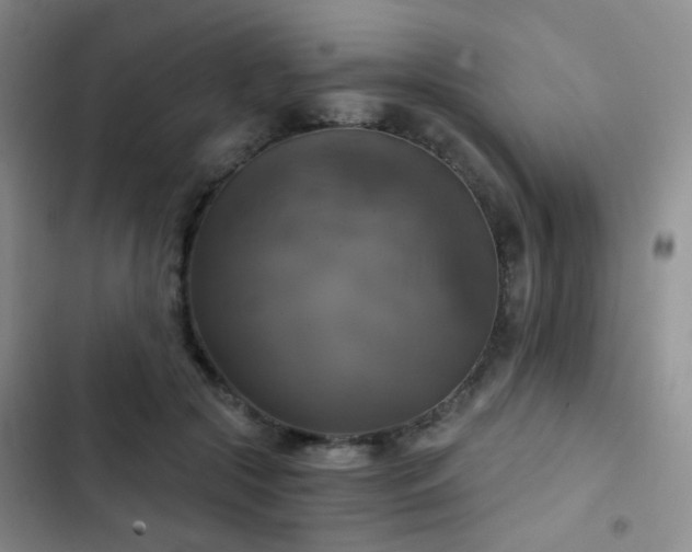 X0000103220553200808281410