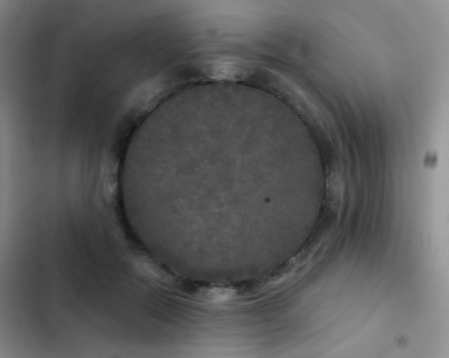 X0000103220554200808281410