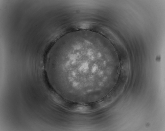 X0000103220555200808281410
