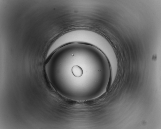 X0000103220556200808281410
