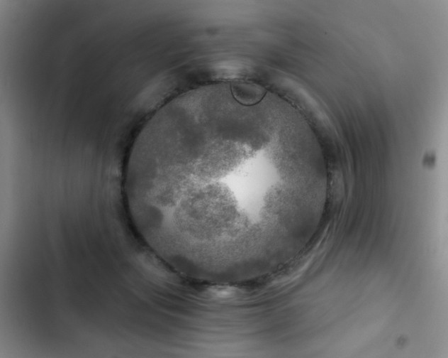 X0000103220557200808281410