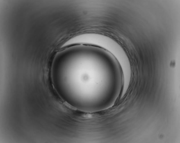 X0000103220558200808281410