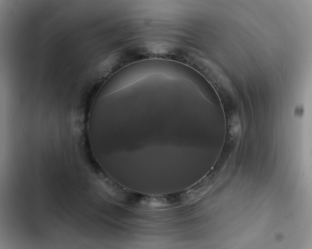 X0000103220559200808281410
