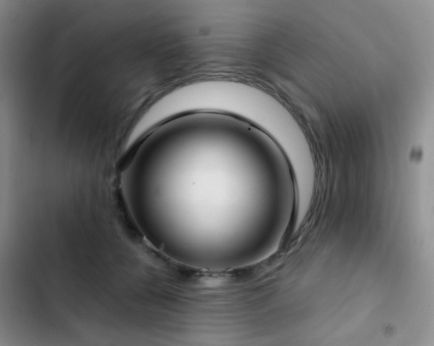 X0000103220560200808281410