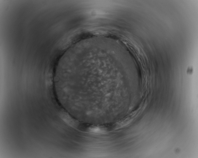 X0000103220561200808281410