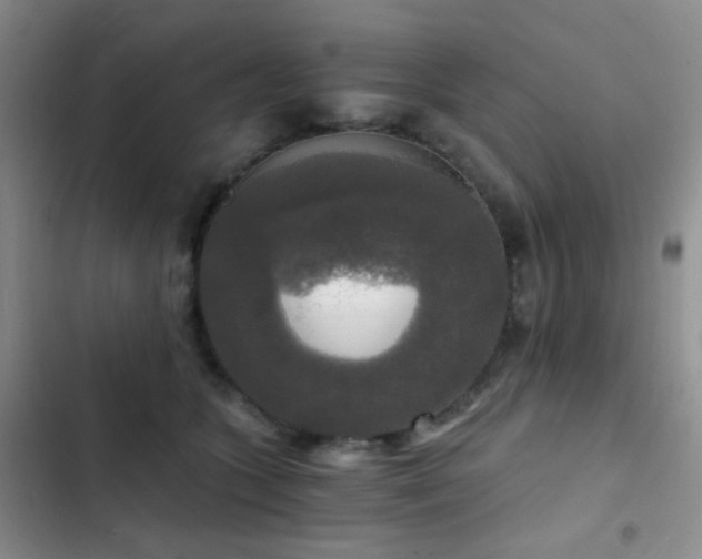 X0000103220563200808281410