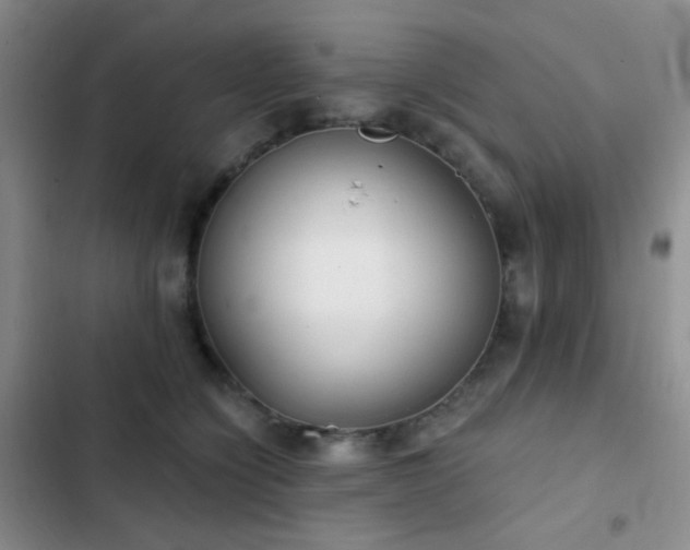 X0000103220564200808281410
