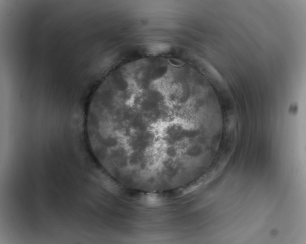 X0000103220565200808281410