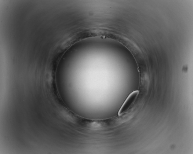 X0000103220566200808281410