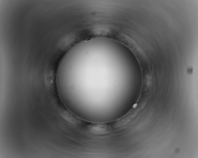 X0000103220567200808281410