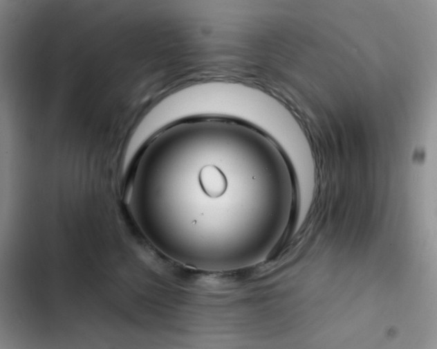 X0000103220568200808281410