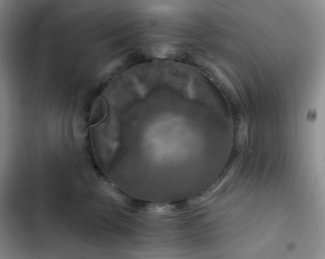 X0000103220569200808281410