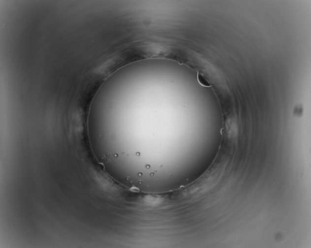 X0000103220570200808281410