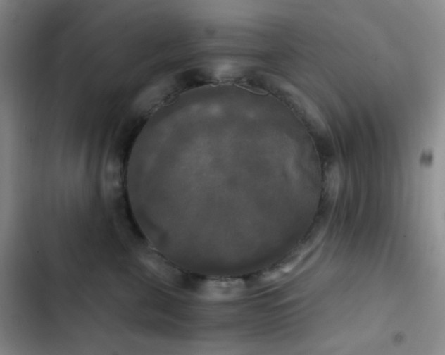X0000103220571200808281410