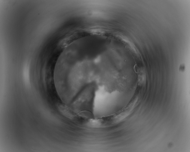X0000103220573200808281410