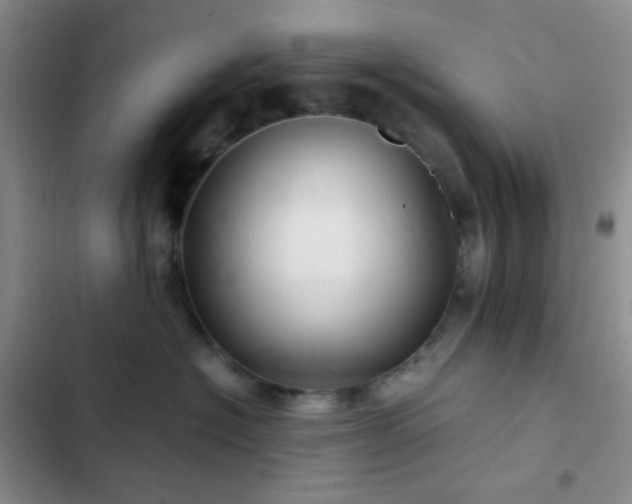 X0000103220574200808281410