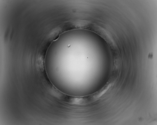 X0000103220575200808281410