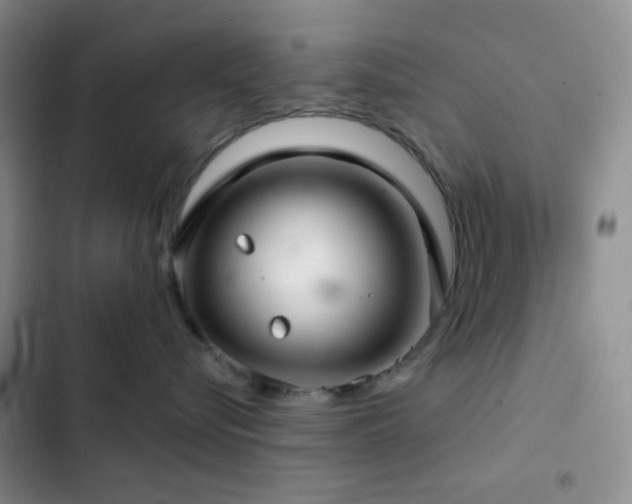 X0000103220576200808281410