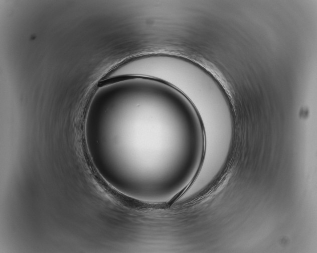 X0000103220577200808281410