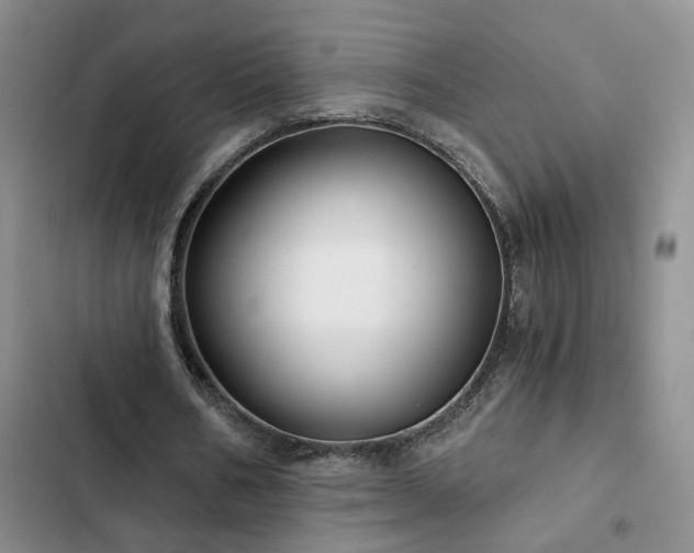 X0000103220578200808281410