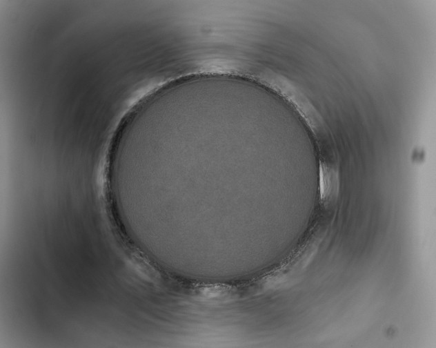 X0000103220579200808281410