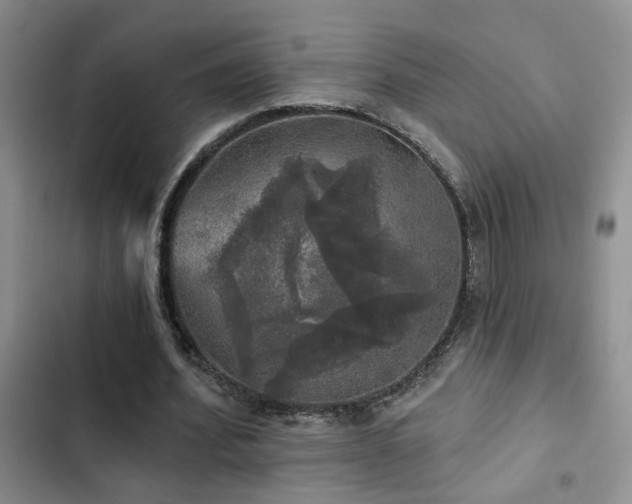 X0000103220580200808281410