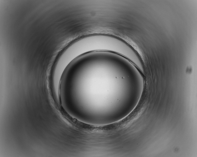 X0000103220581200808281410