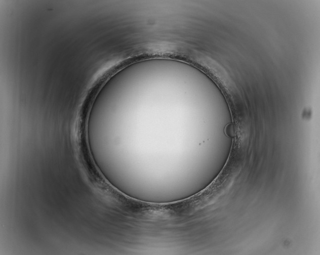 X0000103220583200808281410